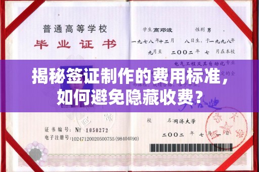 沙市揭秘签证制作的费用标准，如何避免隐藏收费？