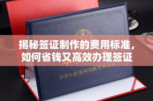 宿豫揭秘签证制作的费用标准，如何省钱又高效办理签证